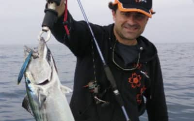 BONITES SUR CHASSE AU LARGE DE SAINT-JEAN-DE-LUZ