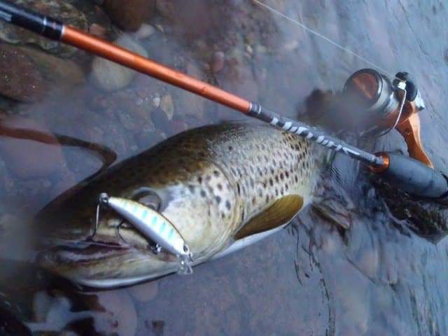 peche truite 06